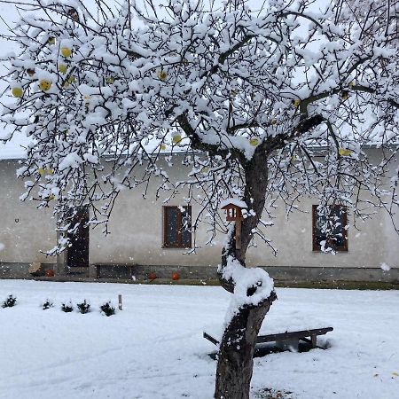 Prijemny Apartman Se Zahradou Ostresany Buitenkant foto