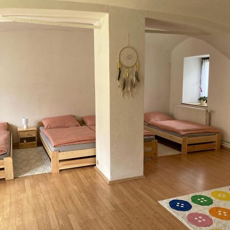 Prijemny Apartman Se Zahradou Ostresany Buitenkant foto