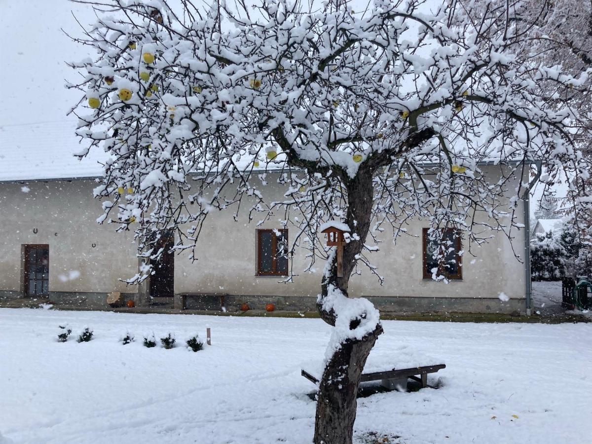Prijemny Apartman Se Zahradou Ostresany Buitenkant foto